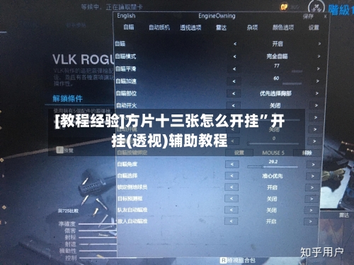 [教程经验]方片十三张怎么开挂	”开挂(透视)辅助教程-第2张图片