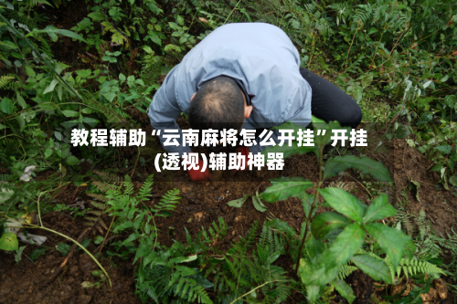 教程辅助“云南麻将怎么开挂”开挂(透视)辅助神器-第2张图片