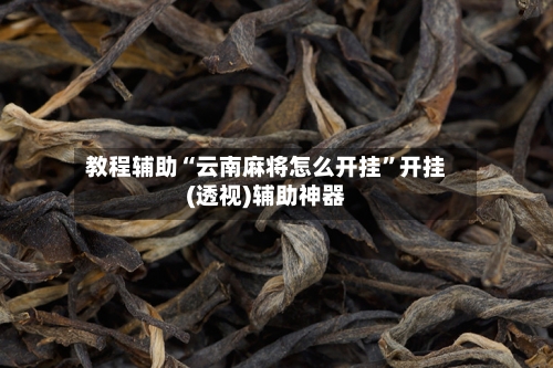 教程辅助“云南麻将怎么开挂	”开挂(透视)辅助神器-第3张图片