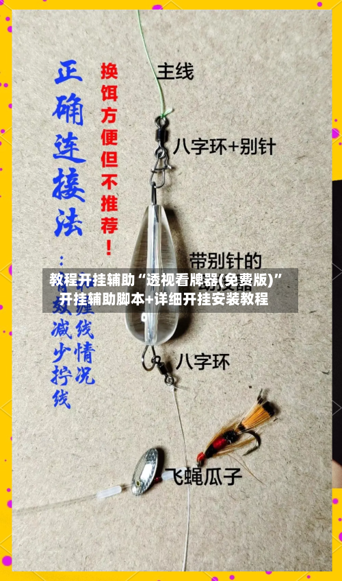 教程开挂辅助“透视看牌器(免费版)”开挂辅助脚本+详细开挂安装教程-第2张图片