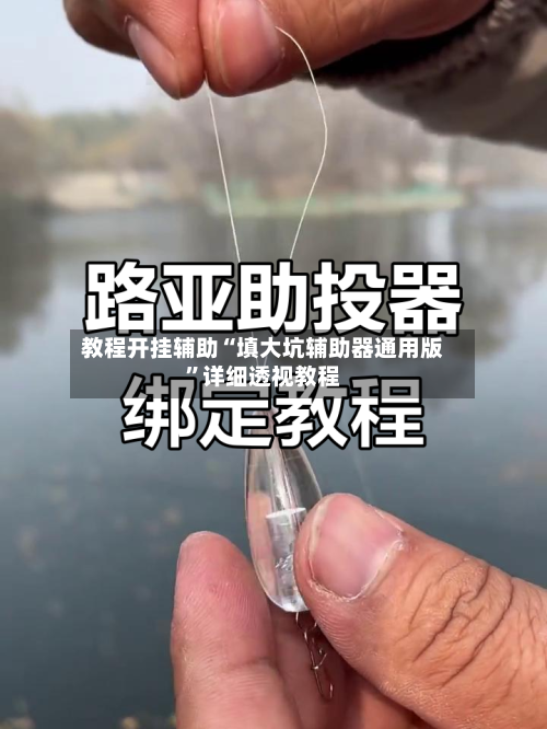 教程开挂辅助“填大坑辅助器通用版”详细透视教程-第3张图片