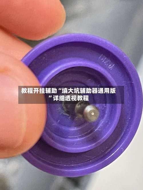 教程开挂辅助“填大坑辅助器通用版”详细透视教程-第1张图片