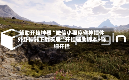 辅助开挂神器“微信小程序雀神插件外卦神器下载安装”开挂辅助脚本+详细开挂-第1张图片