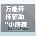 万能开挂辅助“小唐家乐园辅助器”附开挂脚本详细步骤-第2张图片
