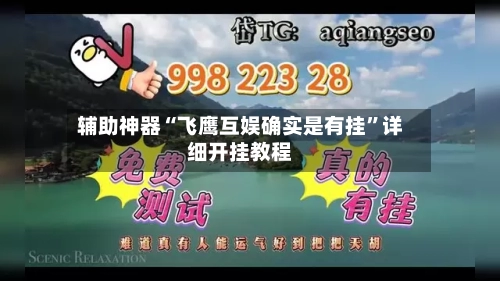 辅助神器“飞鹰互娱确实是有挂”详细开挂教程-第1张图片