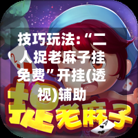 技巧玩法:“二人捉老麻子挂免费”开挂(透视)辅助-第3张图片