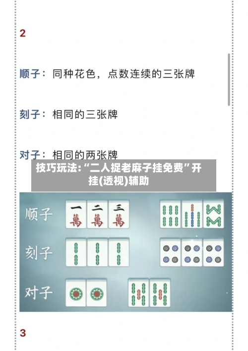 技巧玩法:“二人捉老麻子挂免费	”开挂(透视)辅助-第2张图片
