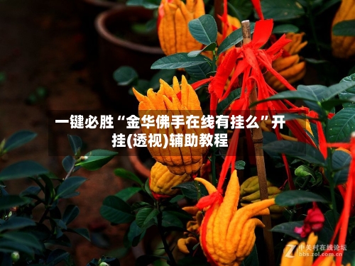 一键必胜“金华佛手在线有挂么	”开挂(透视)辅助教程-第1张图片