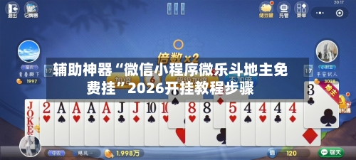 辅助神器“微信小程序微乐斗地主免费挂”2026开挂教程步骤-第3张图片