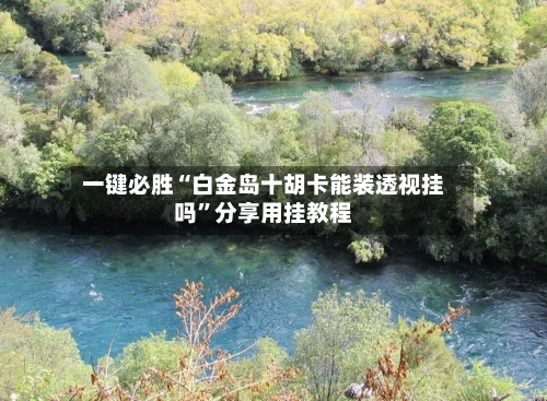 一键必胜“白金岛十胡卡能装透视挂吗”分享用挂教程-第2张图片