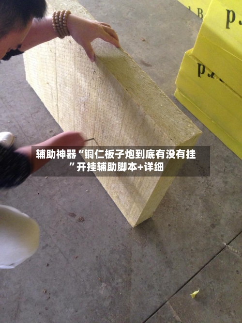 辅助神器“铜仁板子炮到底有没有挂	”开挂辅助脚本+详细-第1张图片
