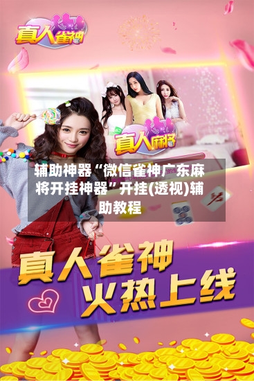 辅助神器“微信雀神广东麻将开挂神器”开挂(透视)辅助教程-第3张图片