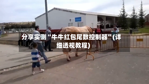 分享实测“牛牛红包尾数控制器”(详细透视教程)-第2张图片