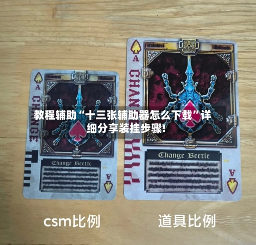 教程辅助“十三张辅助器怎么下载	”详细分享装挂步骤!-第2张图片