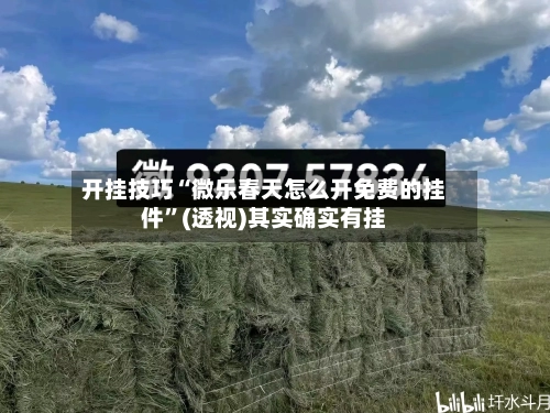 开挂技巧“微乐春天怎么开免费的挂件”(透视)其实确实有挂-第1张图片