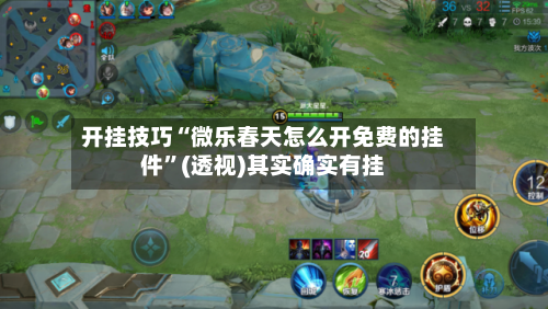 开挂技巧“微乐春天怎么开免费的挂件	”(透视)其实确实有挂-第2张图片