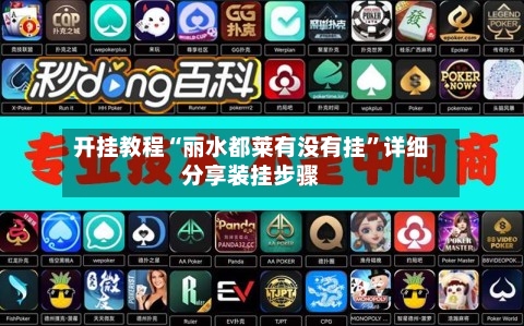 开挂教程“丽水都莱有没有挂”详细分享装挂步骤-第1张图片