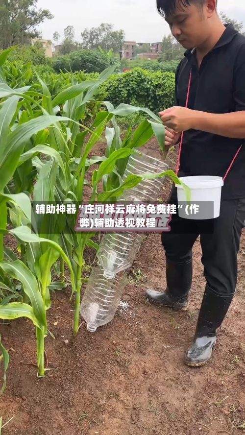 辅助神器“庄河祥云麻将免费挂	”(作弊)辅助透视教程-第1张图片