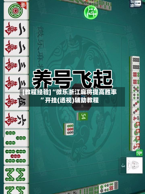 [教程经验]“微乐浙江麻将提高胜率”开挂(透视)辅助教程-第2张图片