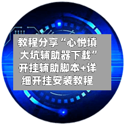 教程分享“心悦填大坑辅助器下载”开挂辅助脚本+详细开挂安装教程-第3张图片