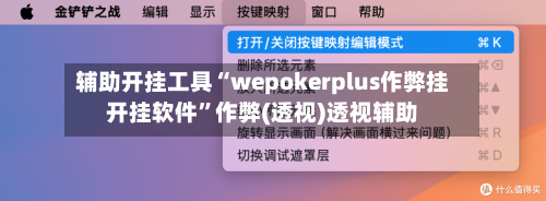 辅助开挂工具“wepokerplus作弊挂开挂软件”作弊(透视)透视辅助-第1张图片