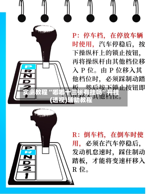 实测教程“嘟嘟十三张有挂吗	”开挂(透视)辅助教程-第1张图片