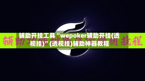辅助开挂工具“wepoker辅助开挂(透视挂)”(透视挂)辅助神器教程-第1张图片