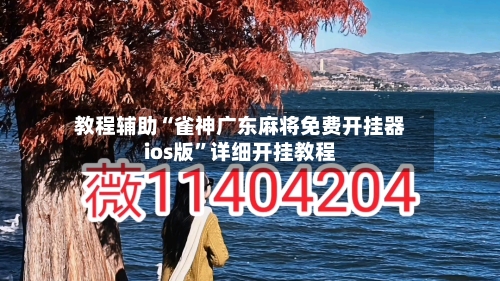 教程辅助“雀神广东麻将免费开挂器ios版”详细开挂教程-第2张图片