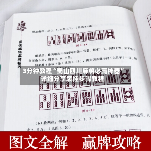 3分钟教程“蜀山四川麻将必赢神器	”详细分享装挂步骤教程-第1张图片