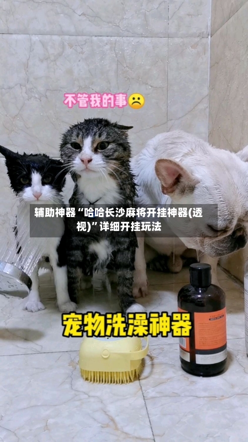 辅助神器“哈哈长沙麻将开挂神器(透视)”详细开挂玩法-第3张图片