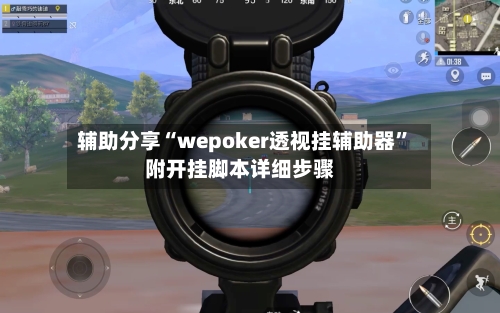 辅助分享“wepoker透视挂辅助器	”附开挂脚本详细步骤-第2张图片