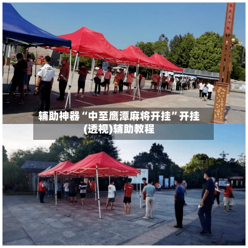 辅助神器“中至鹰潭麻将开挂	”开挂(透视)辅助教程-第3张图片