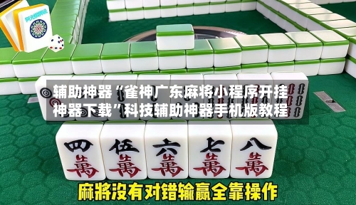 辅助神器“雀神广东麻将小程序开挂神器下载	”科技辅助神器手机版教程-第2张图片