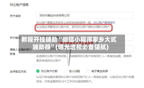 教程开挂辅助“微信小程序家乡大贰辅助器”(曝光透视必备猫腻)-第1张图片