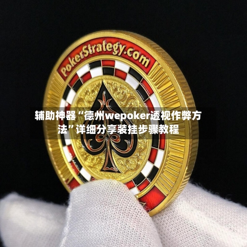 辅助神器“德州wepoker透视作弊方法	”详细分享装挂步骤教程-第2张图片