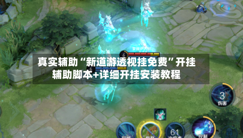 真实辅助“新道游透视挂免费”开挂辅助脚本+详细开挂安装教程-第1张图片