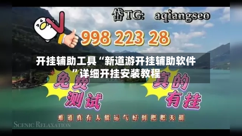 开挂辅助工具“新道游开挂辅助软件”详细开挂安装教程-第2张图片