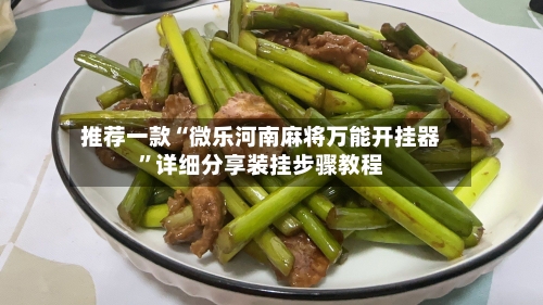 推荐一款“微乐河南麻将万能开挂器	”详细分享装挂步骤教程-第2张图片