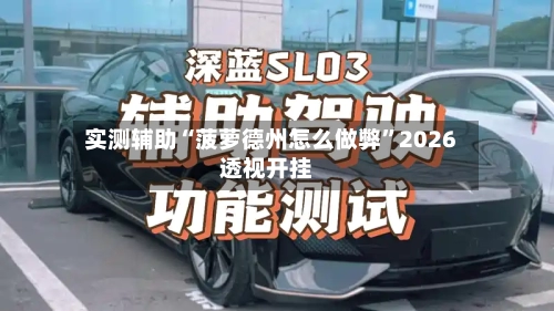 实测辅助“菠萝德州怎么做弊”2026透视开挂-第1张图片