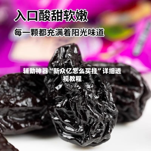 辅助神器“新众亿怎么买挂	”详细透视教程-第1张图片