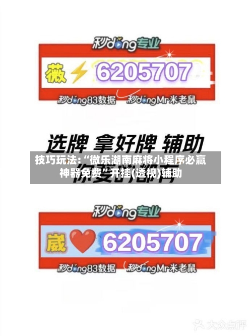 技巧玩法:“微乐湖南麻将小程序必赢神器免费”开挂(透视)辅助-第2张图片