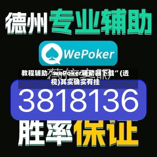 教程辅助“wePoker辅助器下载”(透视)其实确实有挂-第2张图片