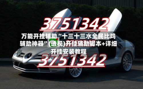 万能开挂辅助“十三十三水全民比鸡辅助神器	”(透视)开挂辅助脚本+详细开挂安装教程-第2张图片