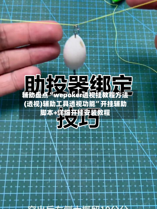 辅助盘点“wepoker透视挂教程方法(透视)辅助工具透视功能”开挂辅助脚本+详细开挂安装教程-第3张图片