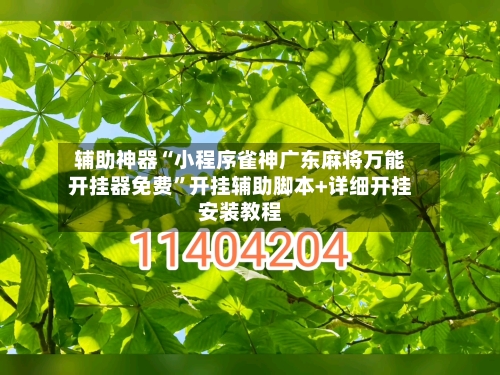 辅助神器“小程序雀神广东麻将万能开挂器免费	”开挂辅助脚本+详细开挂安装教程-第2张图片