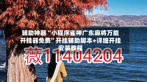 辅助神器“小程序雀神广东麻将万能开挂器免费”开挂辅助脚本+详细开挂安装教程-第3张图片