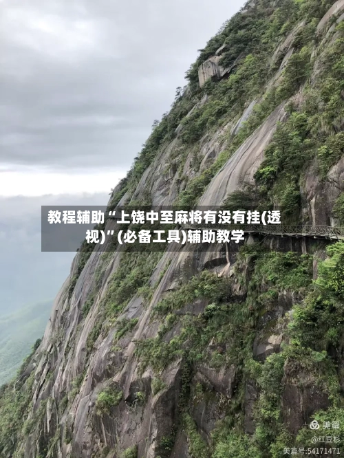 教程辅助“上饶中至麻将有没有挂(透视)”(必备工具)辅助教学-第2张图片