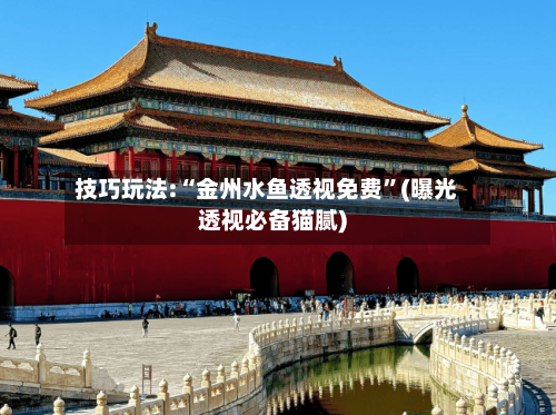 技巧玩法:“金州水鱼透视免费	”(曝光透视必备猫腻)-第1张图片