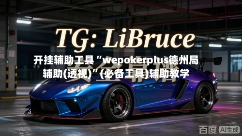 开挂辅助工具“wepokerplus德州局辅助(透视)	”(必备工具)辅助教学-第2张图片