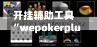 开挂辅助工具“wepokerplus德州局辅助(透视)”(必备工具)辅助教学-第1张图片